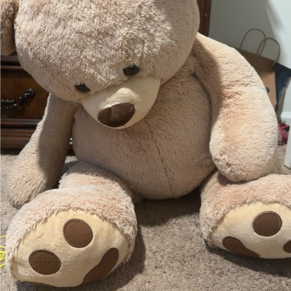 Teddy bear